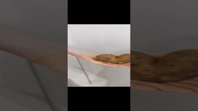 1000005004.mp4