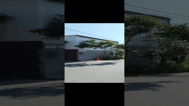 5221.mp4