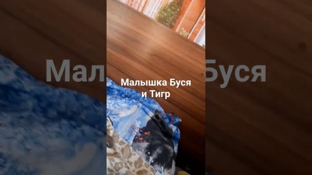 Вот такая наша собачка была маленькая.