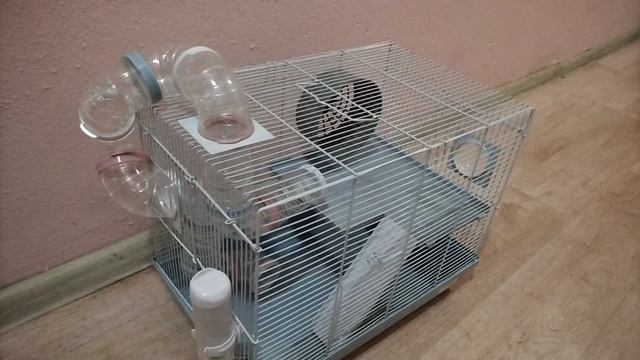VID_20241231_084228.mp4