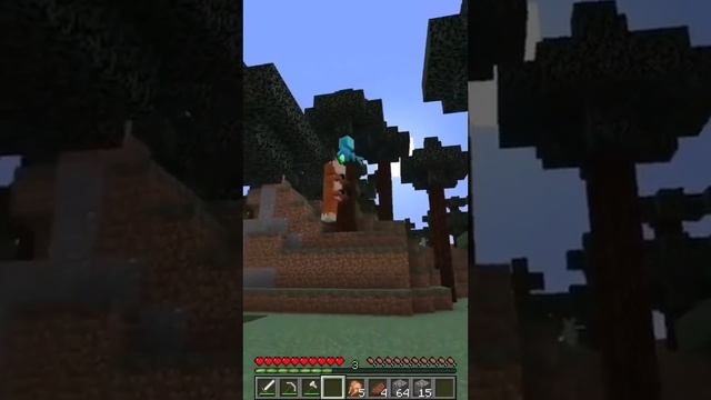 Элей поднял лису!