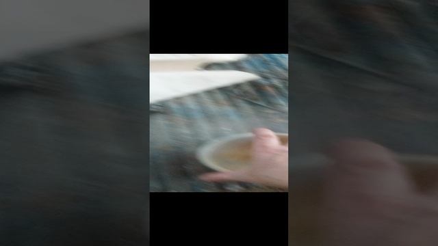 VID_20241228_122052.mp4