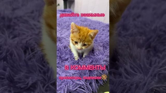 1000100379.mp4