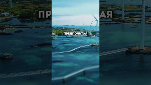 Франция - правые идут к власти