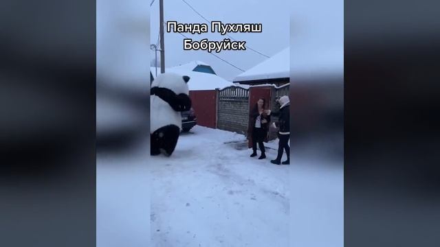 Вот это зажигалочка, супер 👏🔥