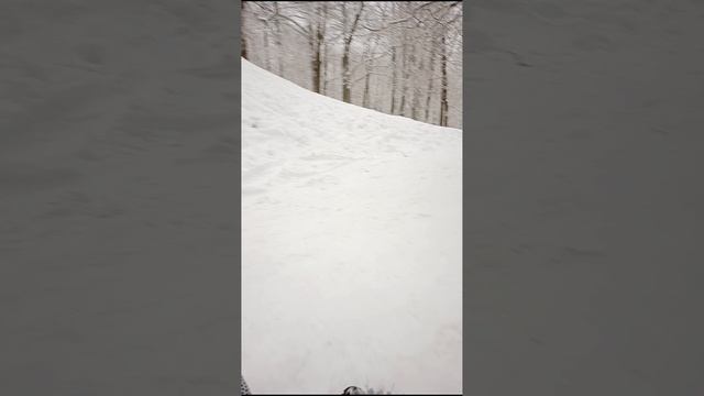 1000042782.mp4