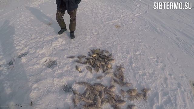 КРЕЩЕНСКАЯ РЫБАЛКА НА ОЗЕРЕ ЧАНЫ!