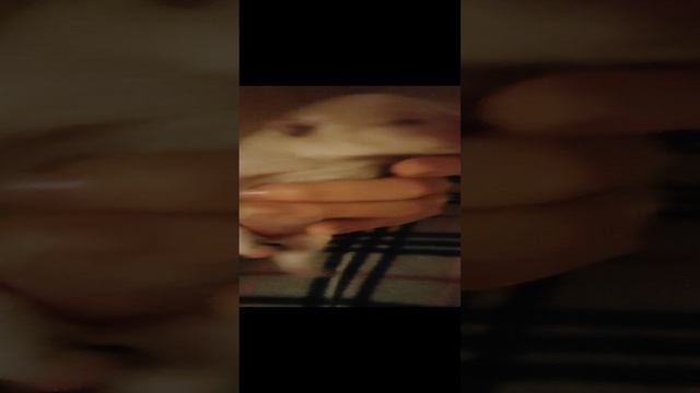 1000041309.mp4