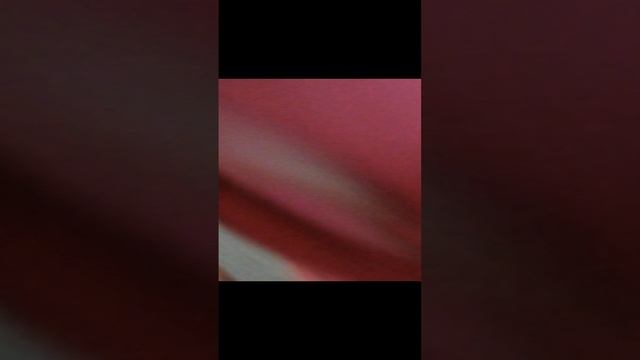 VID_20240831_082313.mp4