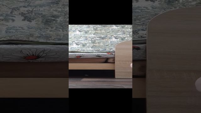 1000003549.mp4