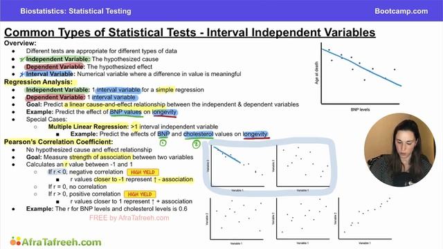 6.5 Interval Independent Variables atf