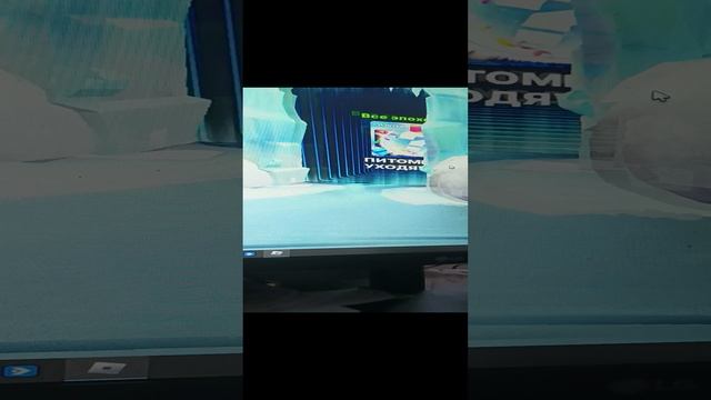 реалистичная игра