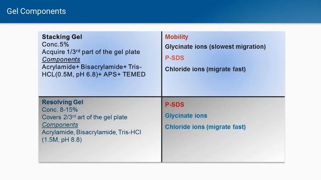 SDS PAGE 1in English| SDS PAGE explained in detail| Role of SDS, mercaptoethanol and others