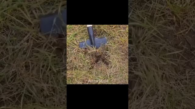 Как минимум прикольный способ.