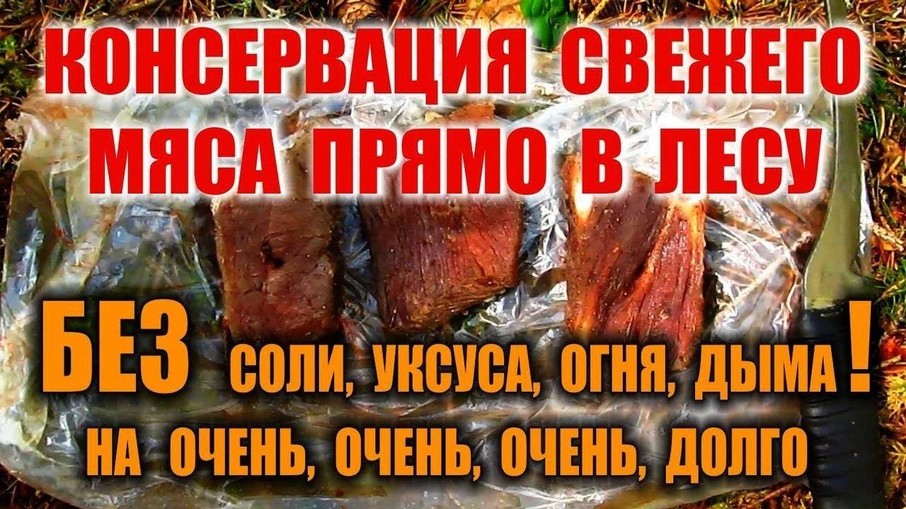 КОНСЕРВАЦИЯ МЯСА  в лесу без соли, дыма, огня и уксуса с помощью муравейника. Древнейшая методика!