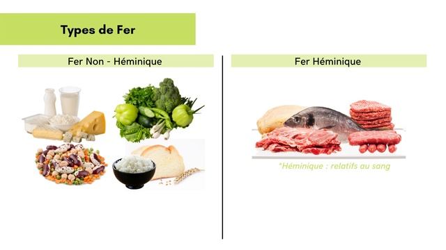 Fer : Tout savoir sur le Fer !