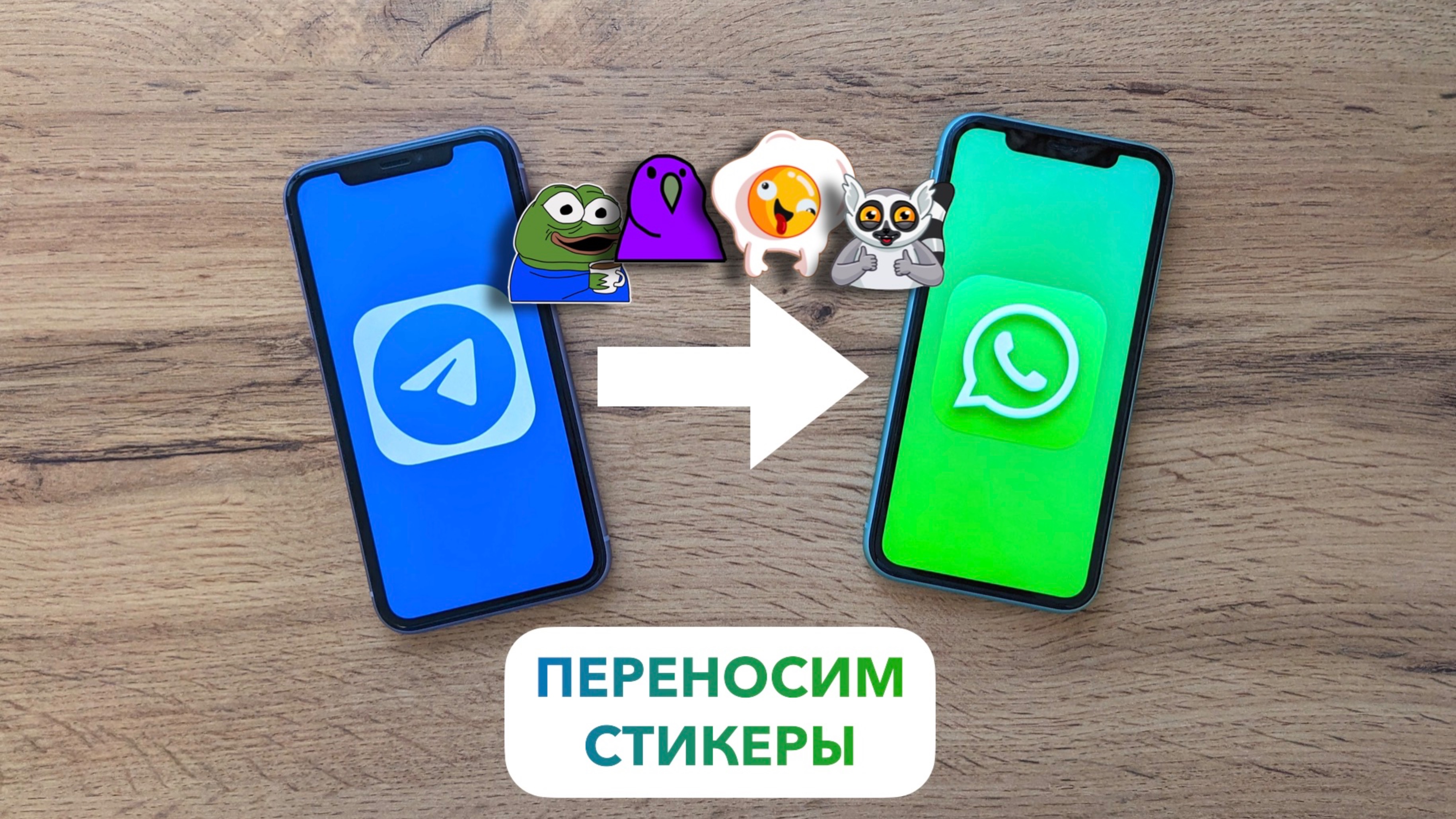 Как добавить СТИКЕРЫ из Telegram в WhatsApp на Android — пара минут и готово 👌