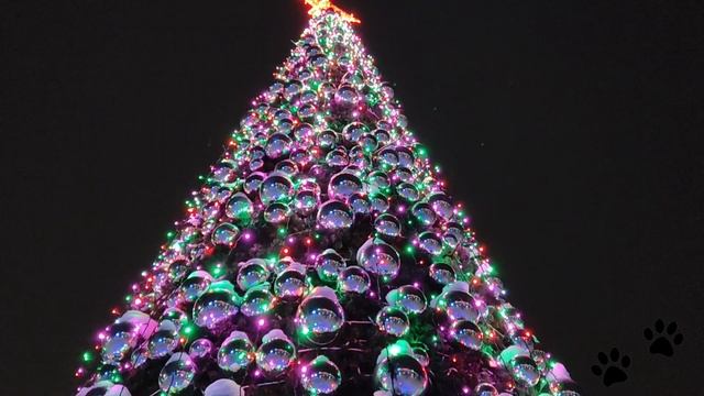 Новогодние ёлки Кувандыка🎄