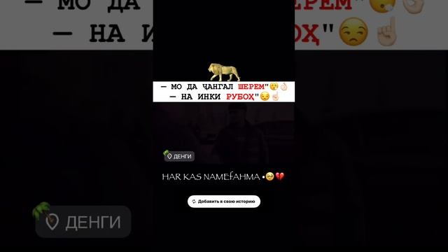1000004461.mp4