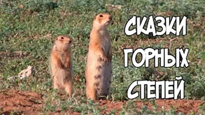 Записки Сибирского Натуралиста 5. Сказки горных степей