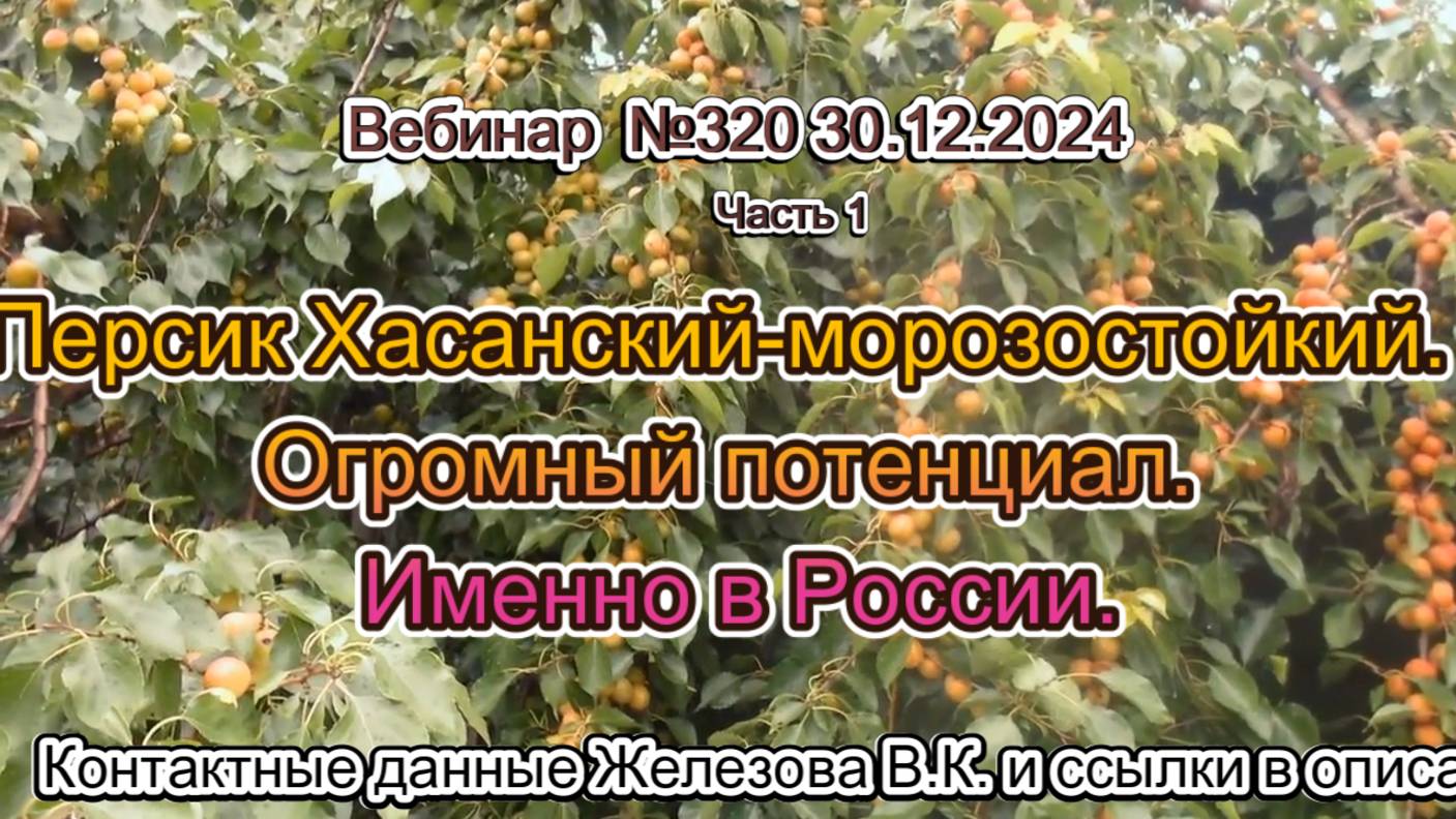 Железов Валерий. Вебинар 320. ч.1. Персик Хасанский-морозостойкий. Огромный потенциал. Именно в Росс