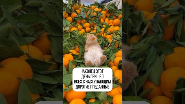 Всем счастья и побольше служения!
С наступающим , дорогие подписчики!