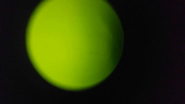 внешность гладкого листочка может оказаться пупырчатой и обманчивой