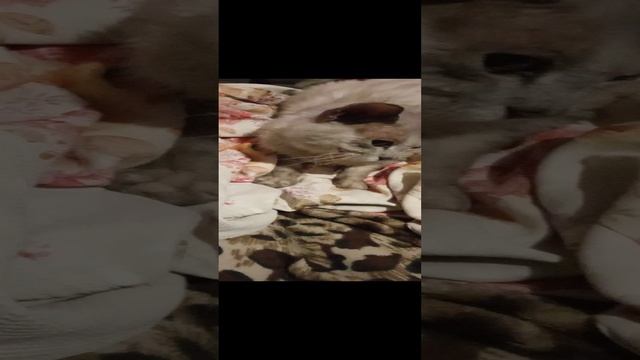 1000112224.mp4