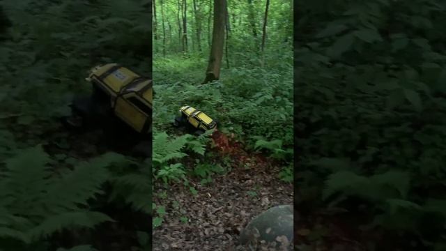 Traxxas Summit forest #rcmodels #traxxas #crawler
