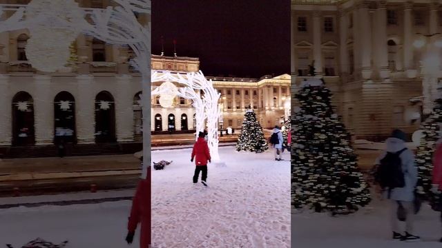Зимний сад на синем мосту