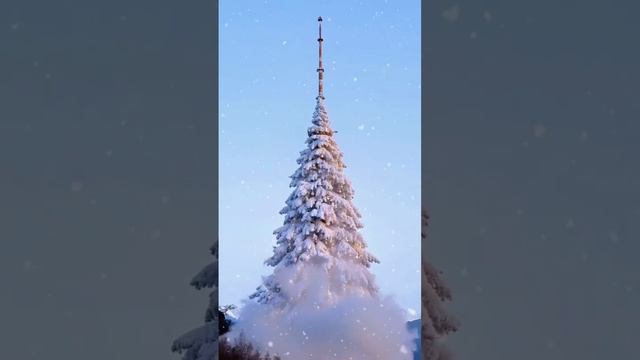 Всех с наступающим новым годом 🎄🎄🎄 мира и добра