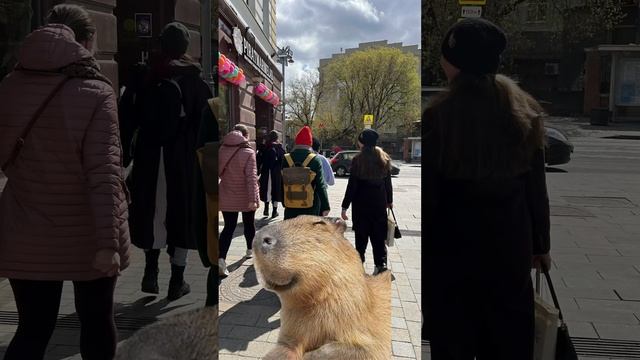 7 мая 2024 г.