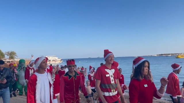 WhatsApp Video 2024-12-31