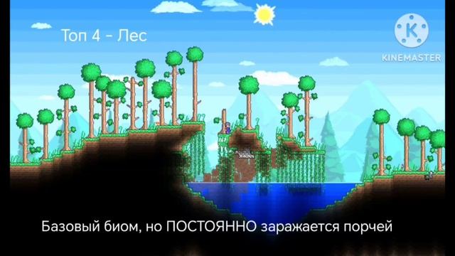 Топ 5 локаций в игре Terraria