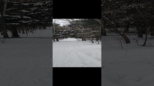 31-12-2024