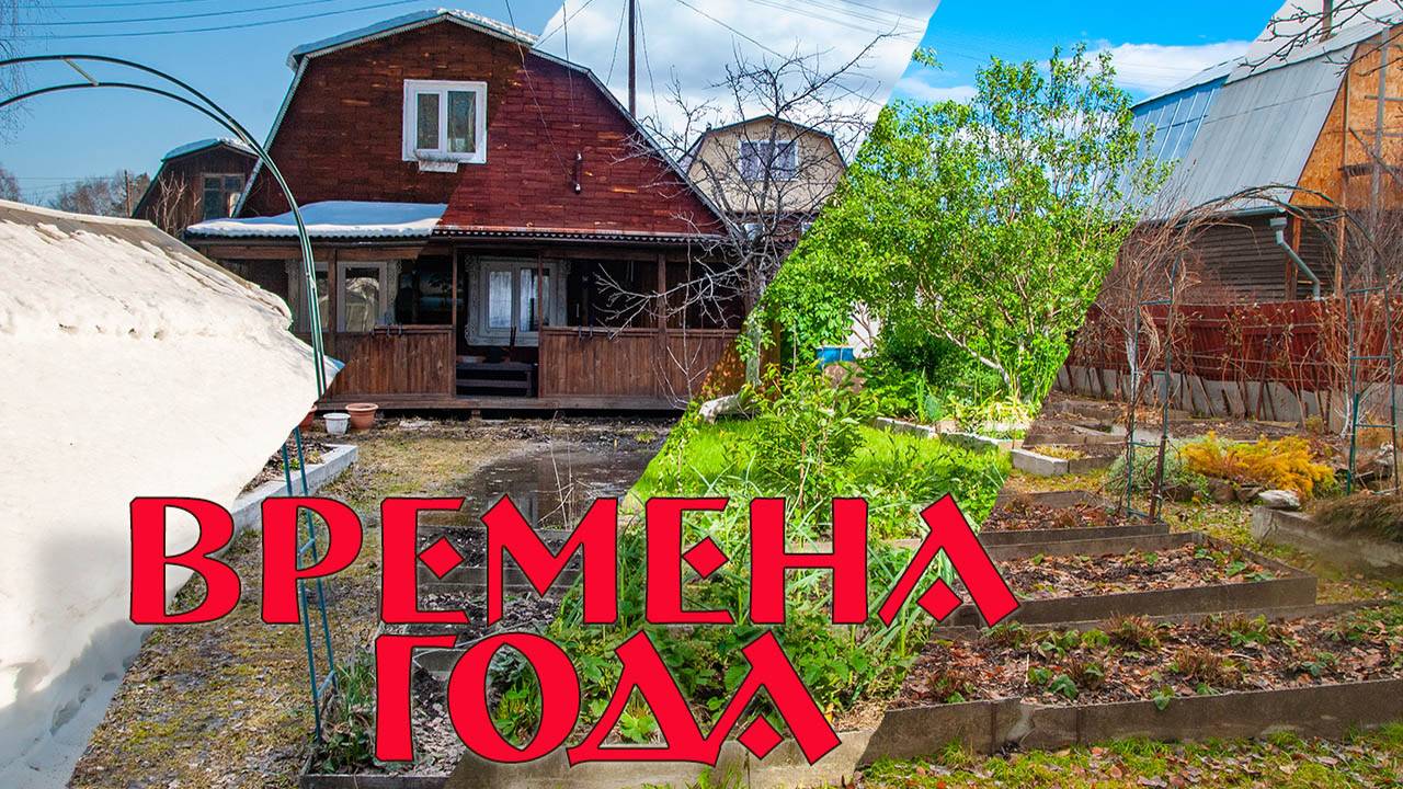 Времена года 2024