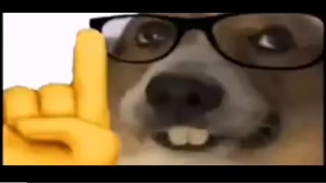 ботаник мем
