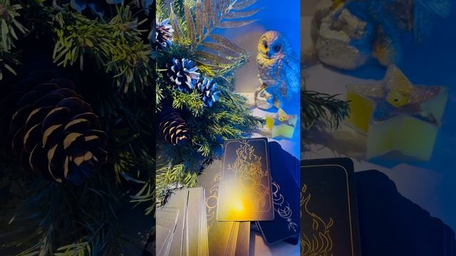 Прогноз на сегодня 🎄
