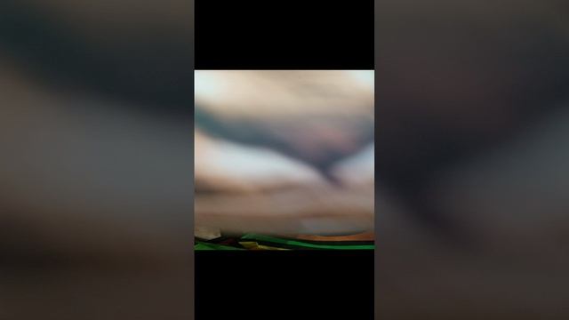 НОВЫЙ УЧАСТНИК🙀🙀