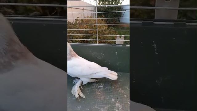 1000074390.mp4