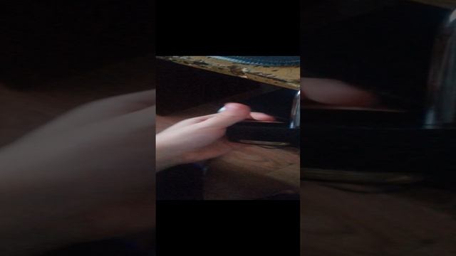 VID_20241231_141656.mp4