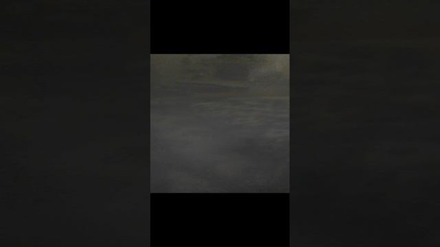 бода борода сошол с ума