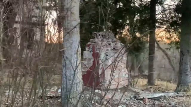 Заброшенный Барский дом с. Петровка