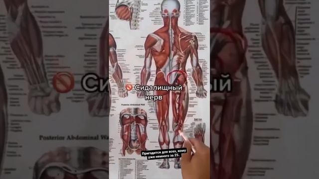 от боли в коленях ,спине .