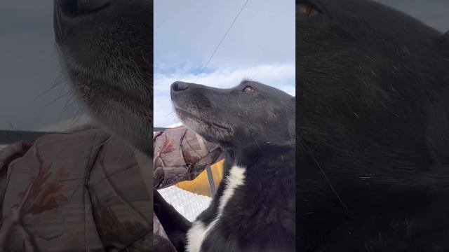 Мои❤️❤️❤️