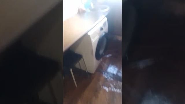 1000123489.mp4