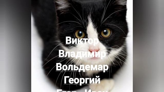 Именины 31 декабря