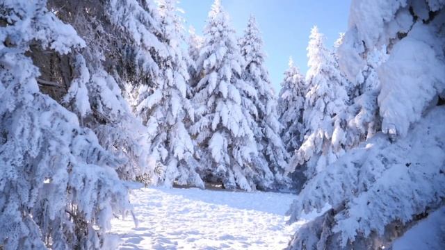 В сердцах Стихи читает автор В. Дмитриев