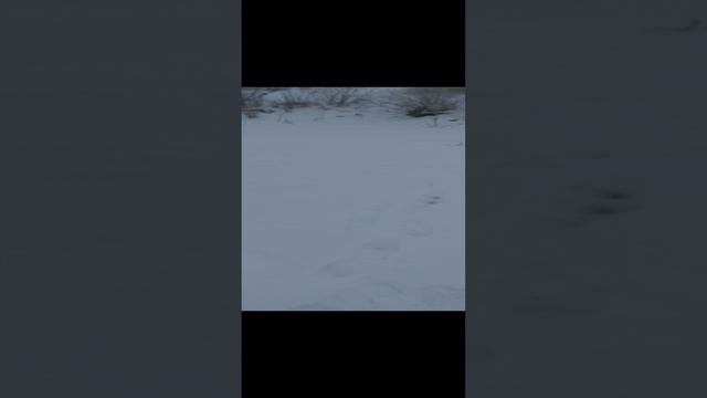 31-12-2024