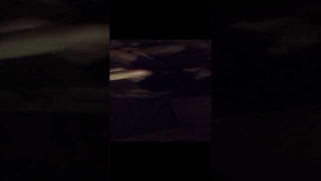 VID_20241231_205421.3gp
